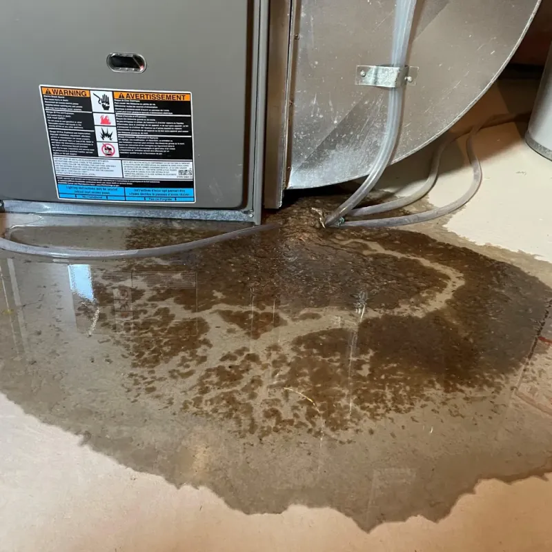 Appliance Leak Cleanup in North Rock Springs, WY